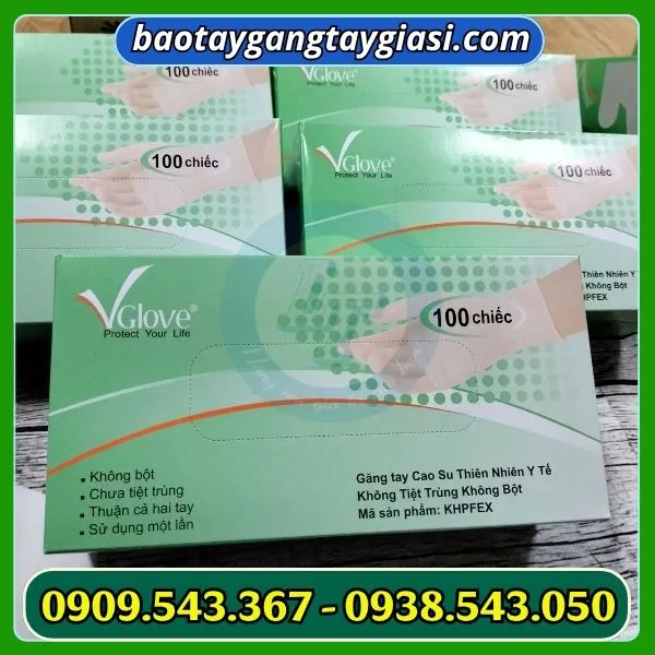 GĂNG TAY Y TẾ VGLOVE LATEX KHÔNG BỘT