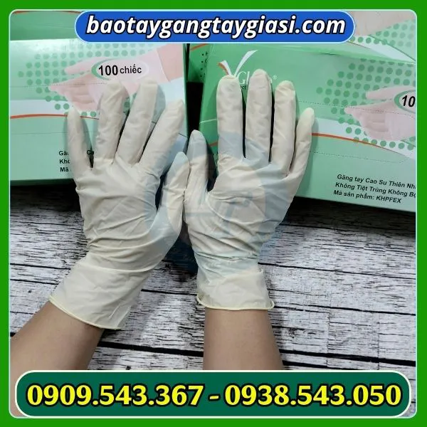 GĂNG TAY Y TẾ VGLOVE LATEX KHÔNG BỘT