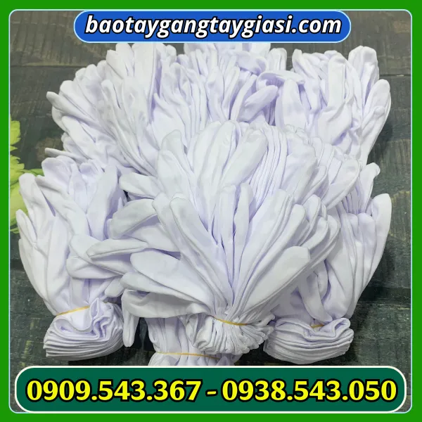GĂNG TAY VẢI THUN T8+1
