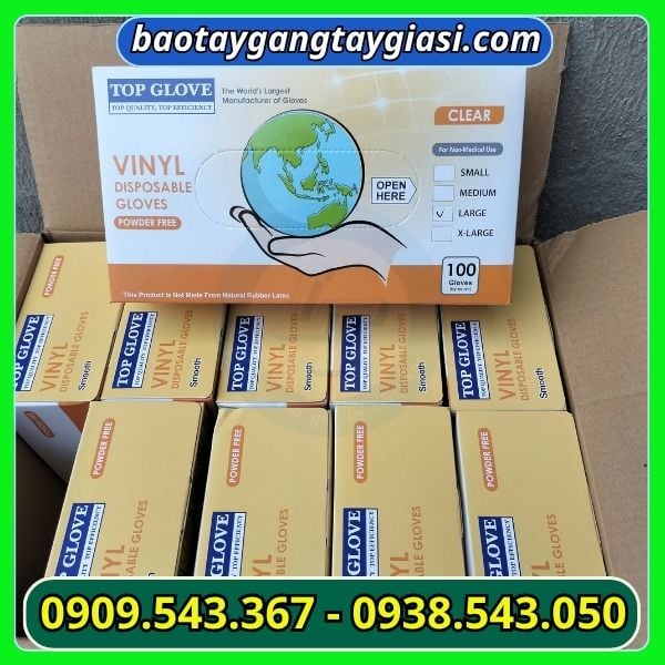 Găng tay Vynil trong suốt Găng tay Vynil trong suốt
