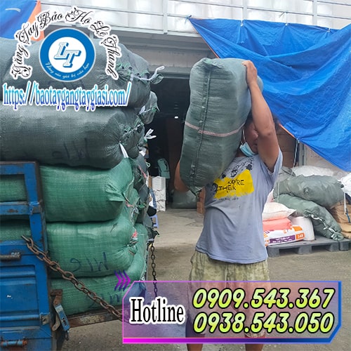 Vận chuyển tận nơi nhanh chóng trong ngày Vận chuyển tận nơi nhanh chóng trong ngày