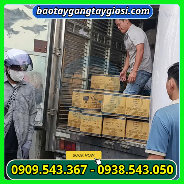 Giao hàng găng tay y tế Vglove Giao hàng găng tay y tế Vglove