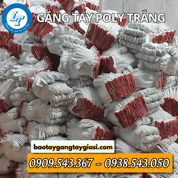 Kho sỉ găng tay poly giá rẻ Kho sỉ găng tay poly giá rẻ