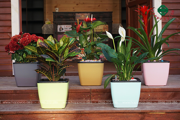 10-do-trang-tri-phong-ngu