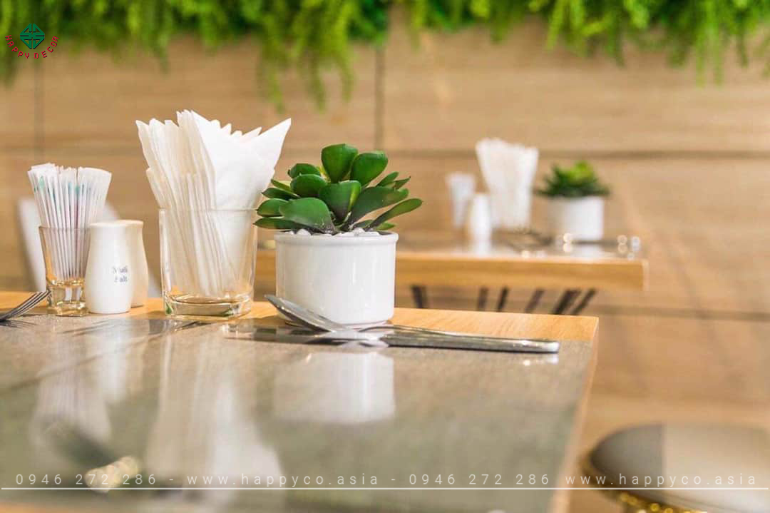 Tạo cảm giác gần gũi, thư giãn với chậu cây xanh - Mẫu 05