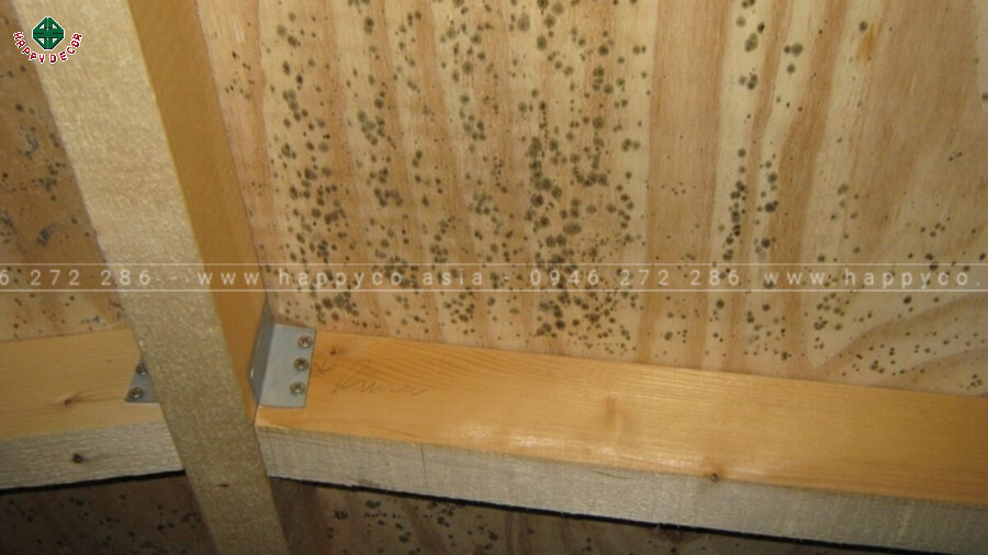 Lựa chọn chất liệu không phù hợp sẽ khiển tủ bếp của bạn nhanh xuống cấp Lựa chọn chất liệu không phù hợp sẽ khiển tủ bếp của bạn nhanh xuống cấp