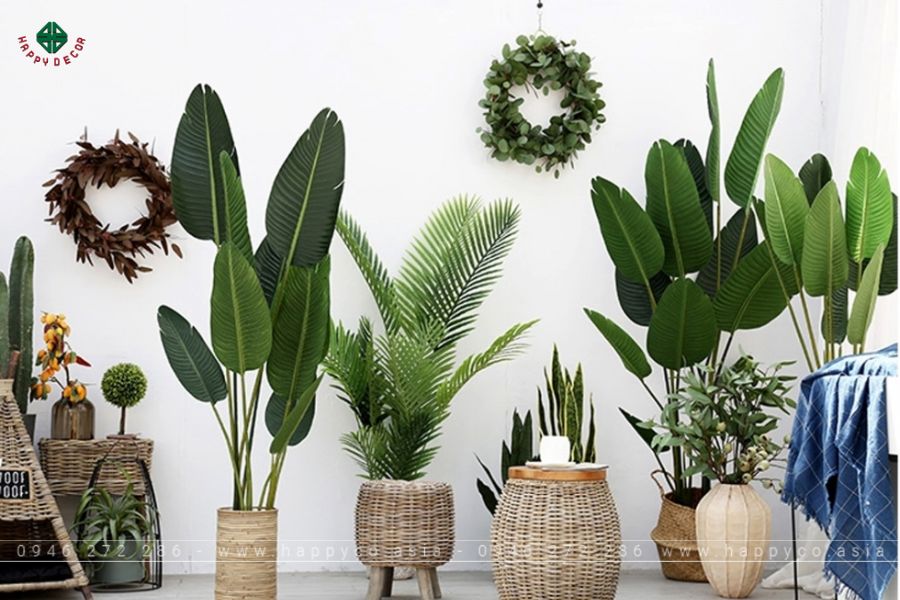 Kết hợp cây thật và cây giả nếu bạn không có thời gian chăm sóc Kết hợp cây thật và cây giả nếu bạn không có thời gian chăm sóc