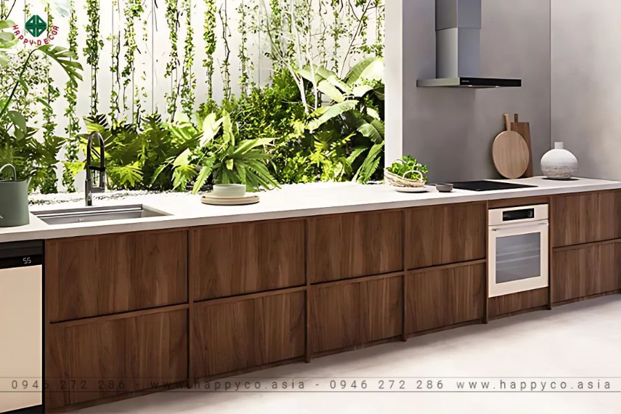 Không gian được bao phủ bởi cây xanh mát mẻ Không gian được bao phủ bởi cây xanh mát mẻ