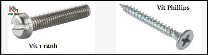 cac-loai-vit-pho-bien-happy-decor