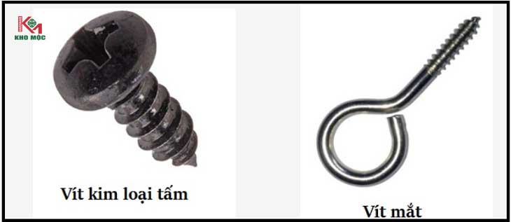 cac-loai-vit-pho-bien-happy-decor