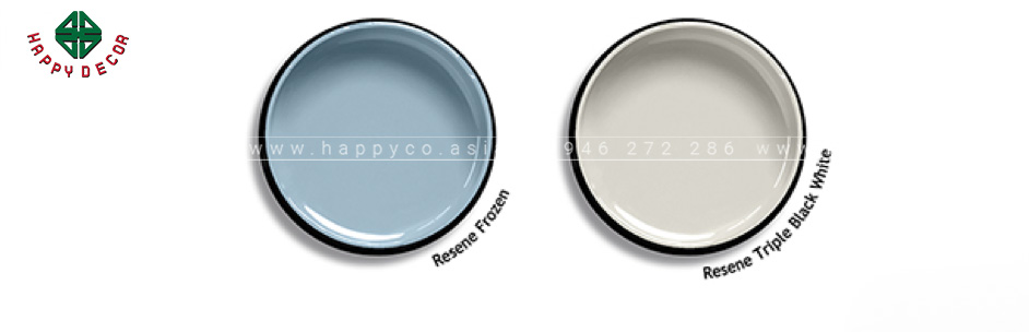 Màu sơn mặt tiền ngôi nhà được phối hợp với màu xanh - xám trắng