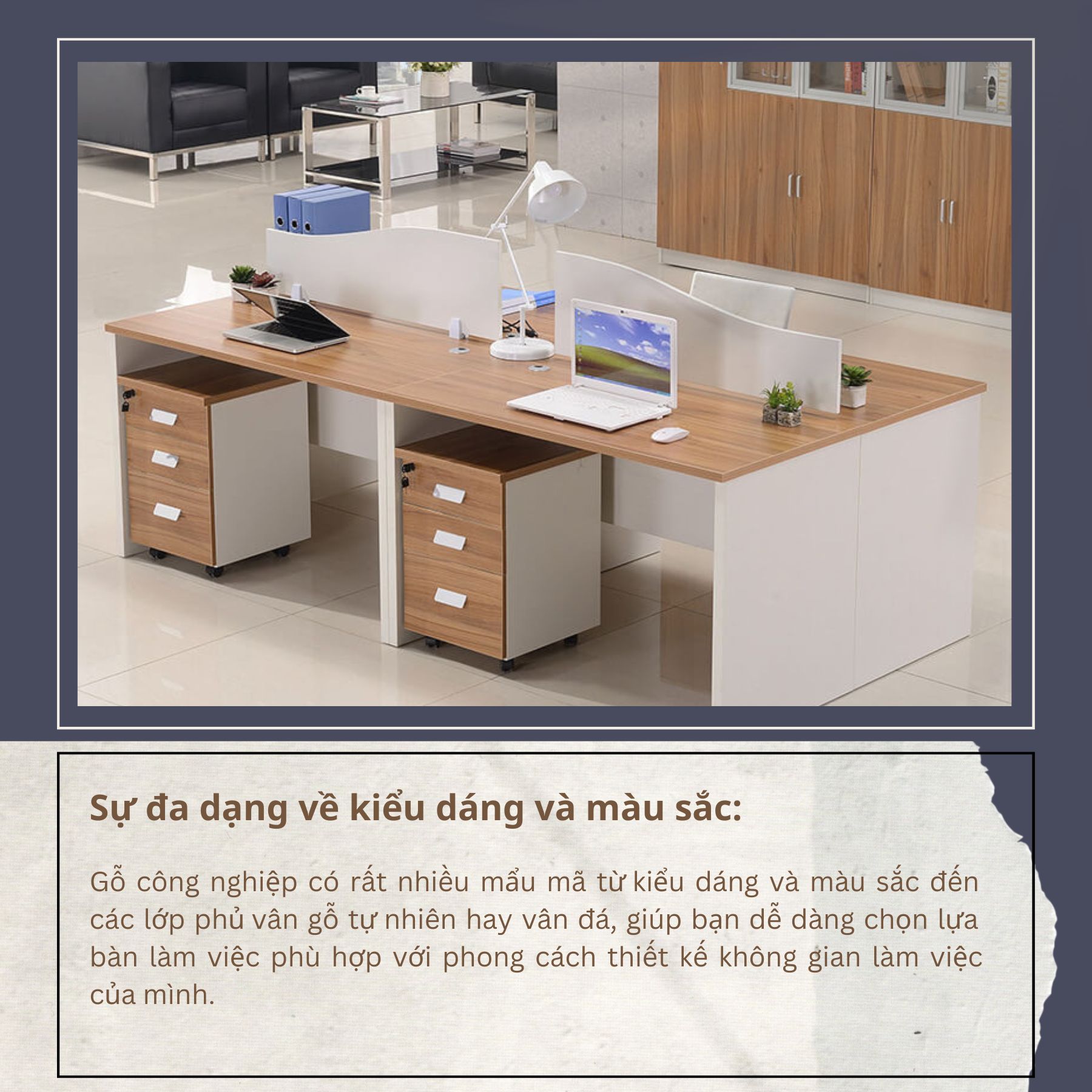 Đa dạng về màu sắc và kích thước