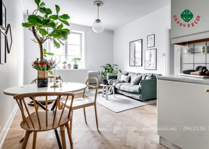 nhung-loai-cay-canh-phong-bep-happy-decor