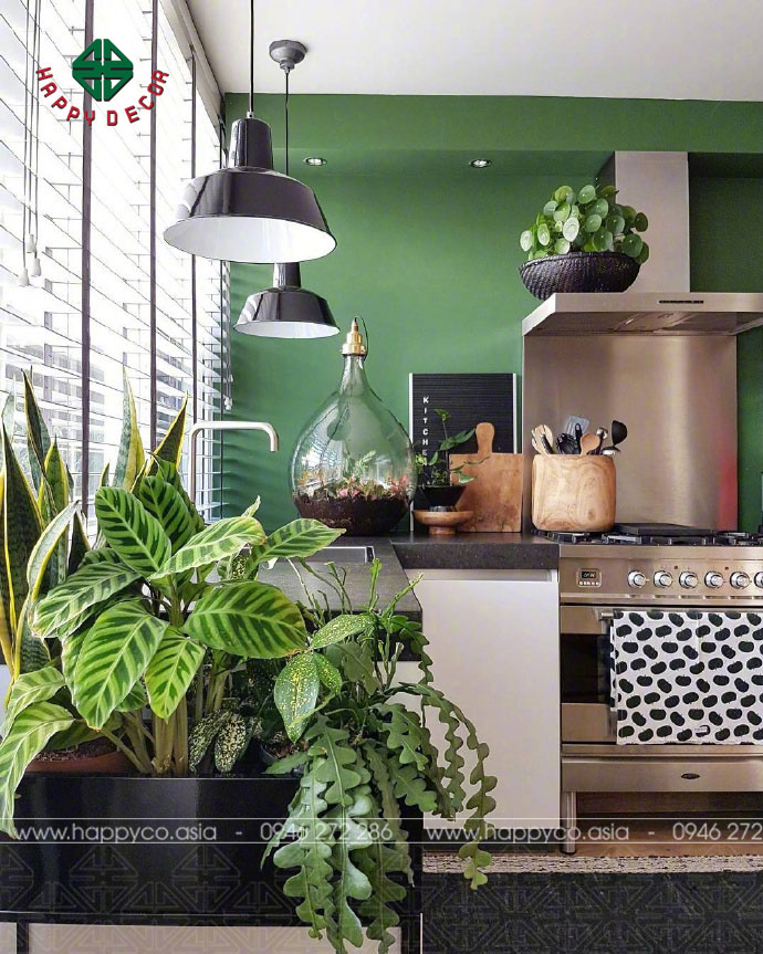 nhung-loai-cay-canh-phong-bep-happy-decor