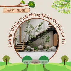 Cách Bố Trí Cây Cảnh Phòng Khách Để Hút Tài Lộc