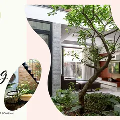 Cách Bố Trí Khe Thoáng Giúp Nhà Ống Thoáng Mát và Sáng