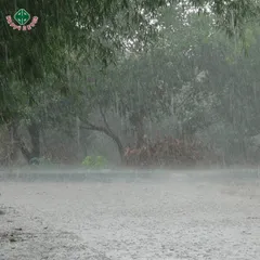 Chuẩn Bị Nội Thất Nhà Bạn Thế Nào Khi Mưa Trái Mùa Đến Sớm