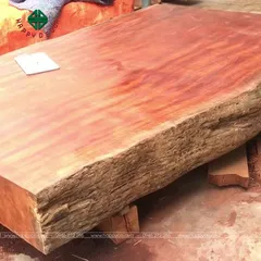 Gỗ Đinh Hương Là Gì? Được Ứng Dụng Như Thế Nào Trong Thiết Kế Nội Thất