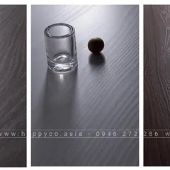 Tất tần tật về Ván Đồng Bộ Panel Plus tại Biên Hòa