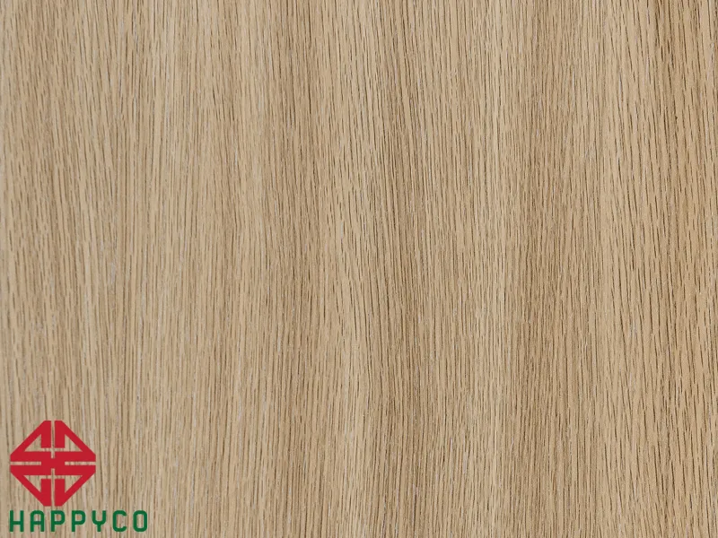 HC 24 – OAK