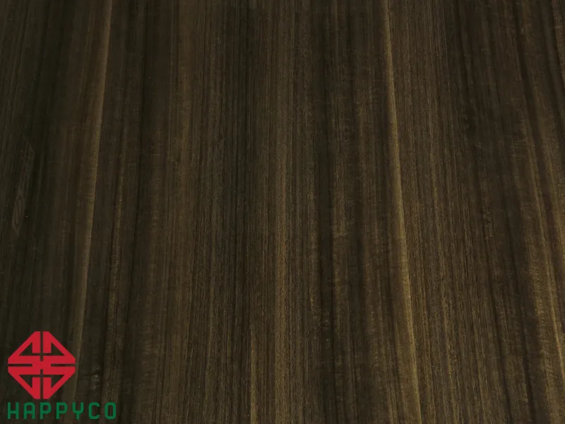 HC 68 – ASH BLACK