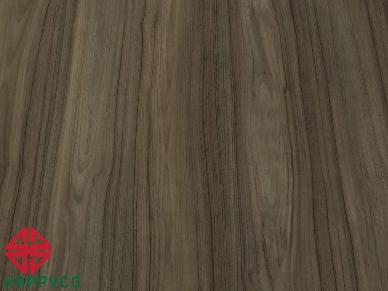 HC 67 – SIENNA TEAK