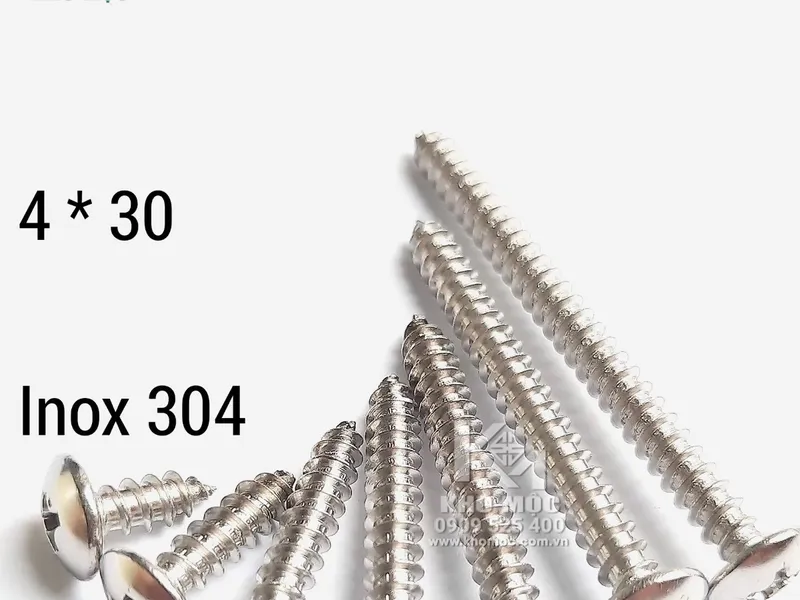 Vít INOX 304 Đầu Dù 