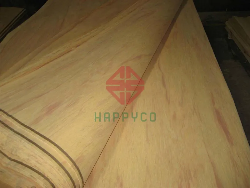 Canarium veneer 02