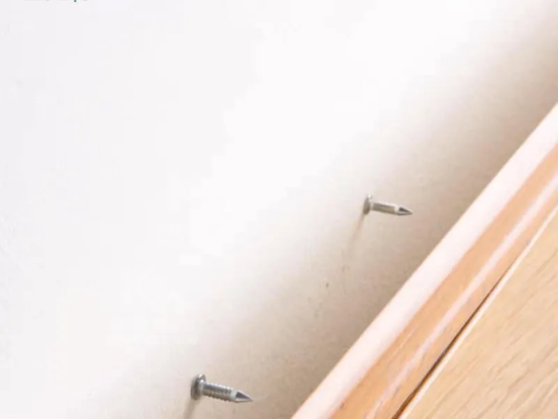 Đinh 2 Đầu (Tặng Kèm Ống Đóng Đinh) 