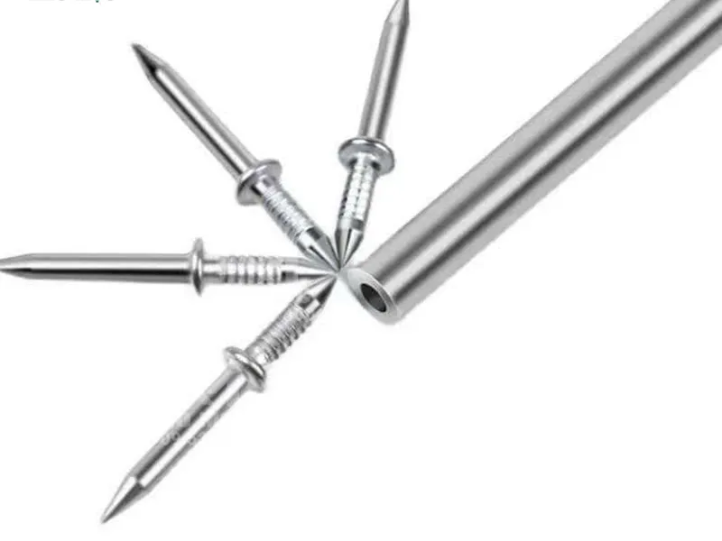 Đinh 2 Đầu (Tặng Kèm Ống Đóng Đinh) 
