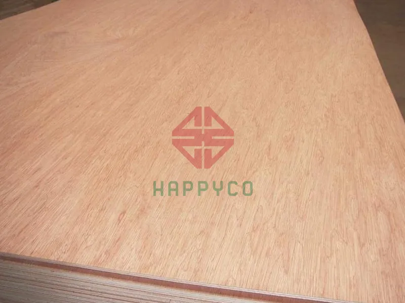 Grade a bintangor face