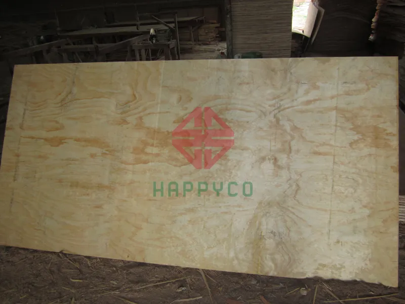 Mặt thông nhập khẩu