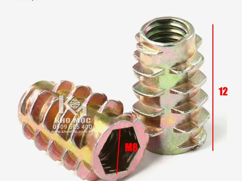 Sò Cấy Không Vành