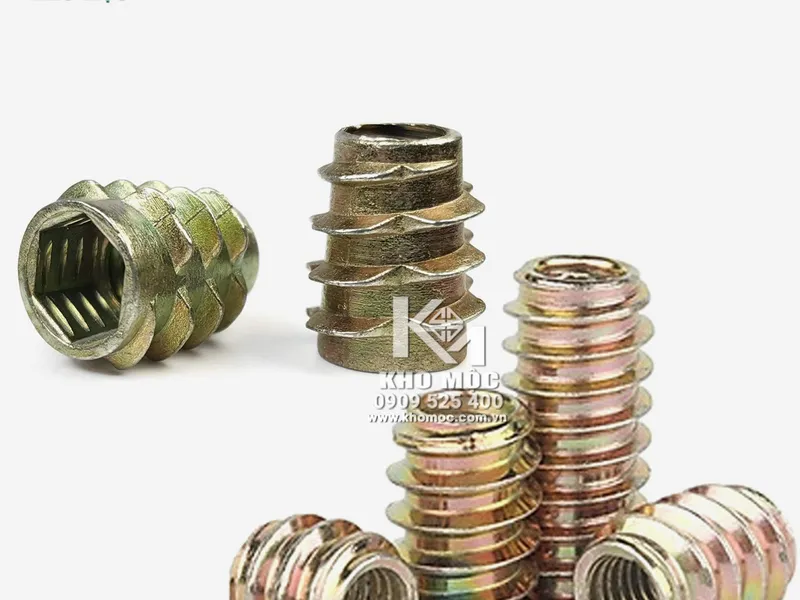 Sò Cấy Không Vành