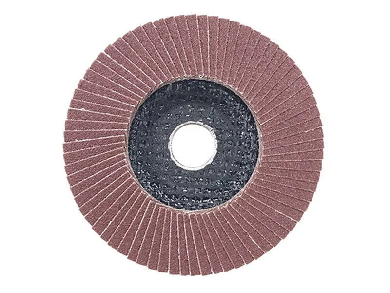 Đĩa Nhám Xếp 80