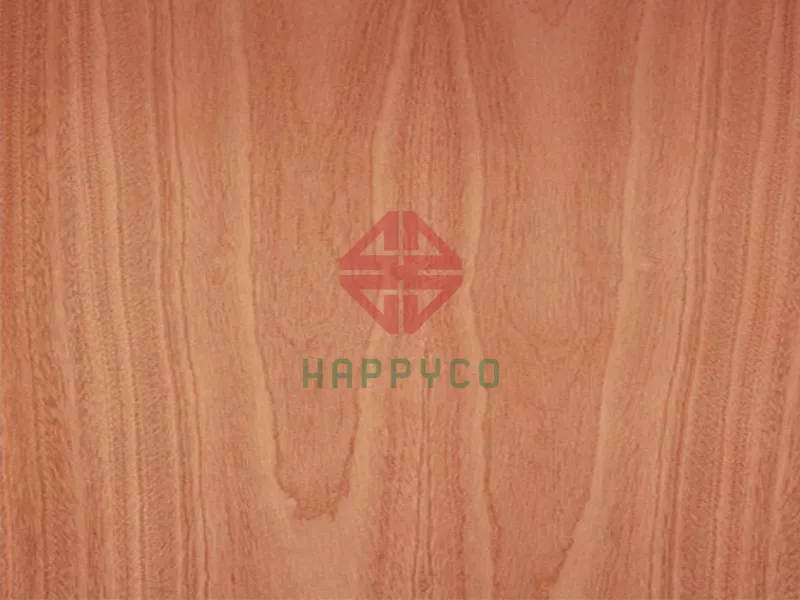 Sapele veneer 01