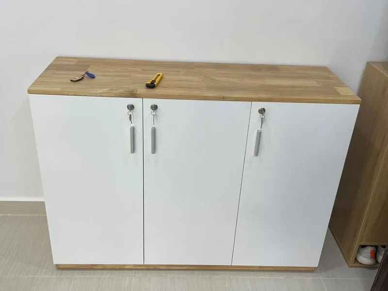Tủ Tài Liệu Văn Phòng TTL016