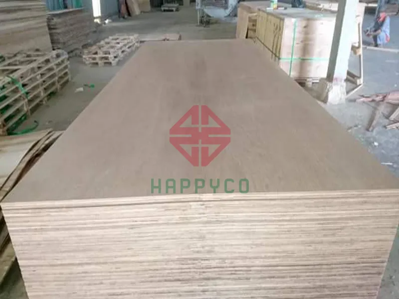 Ván ép xuất khẩu 09