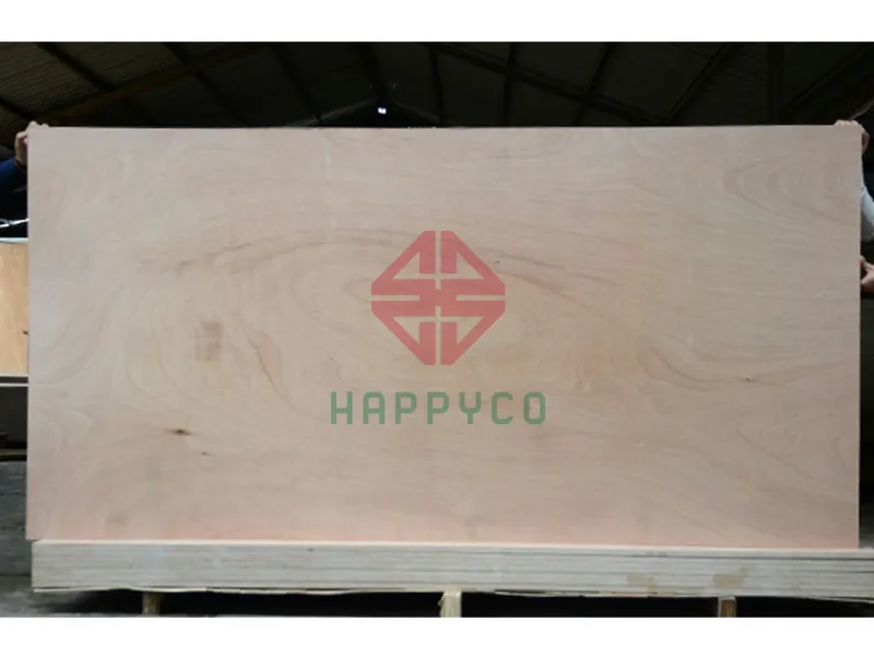 Ván ép xuất khẩu 10