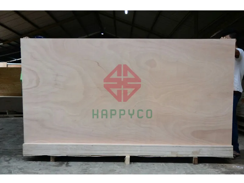 Ván ép xuất khẩu 11