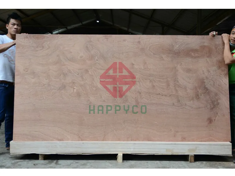 Ván ép xuất khẩu 12