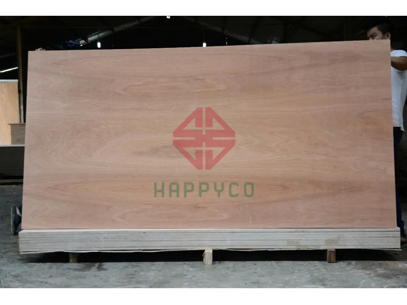 Ván ép xuất khẩu 14