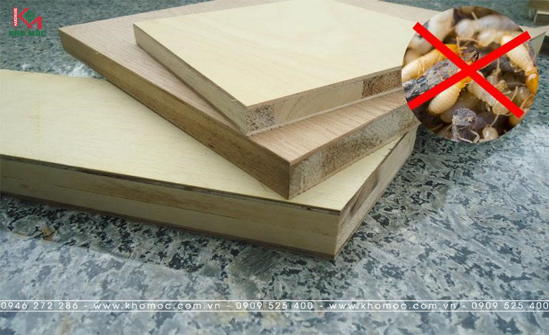 Khả năng chống mối mọt hiệu quả