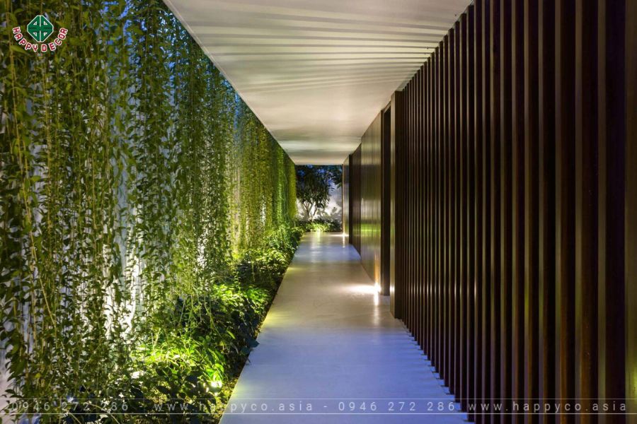 Thiết kế vườn treo dây leo trên tường Thiết kế vườn treo dây leo trên tường