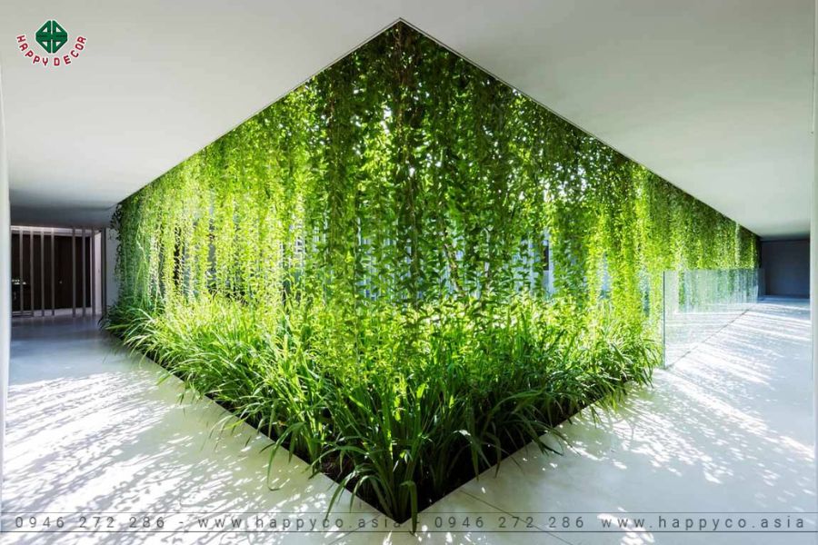 Vườn treo rủ giếng trời Vườn treo rủ giếng trời