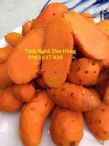 Củ nghệ đỏ để làm ra tinh bột nghệ đỏ Củ nghệ đỏ để làm ra tinh bột nghệ đỏ