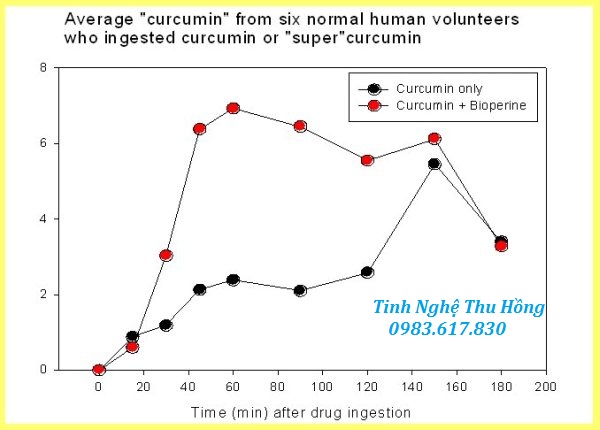 Curcumin và Piperine giúp tăng khả năng hấp thụ lên 20 lần Curcumin và Piperine giúp tăng khả năng hấp thụ lên 20 lần
