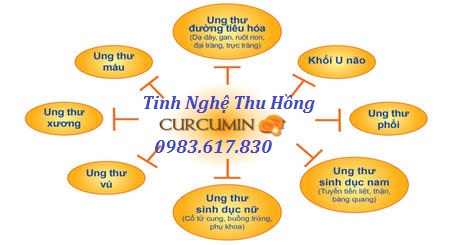 Tinh nghệ Curcumin giúp điều trị ung thư hiệu quả Tinh nghệ Curcumin giúp điều trị ung thư hiệu quả