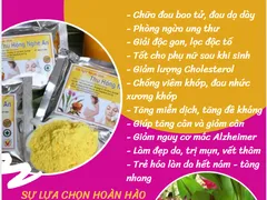 Hàng Ngàn công dụng của NGHỆ VÀNG TỐT cho SỨC KHỎE? Bạn đã biết chưa??