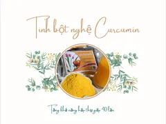 TINH CHẤT NGHỆ CURCUMIN - Tác dụng vượt trội hơn hẳn TINH BỘT NGHỆ thường